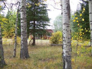 House-Before2.jpg