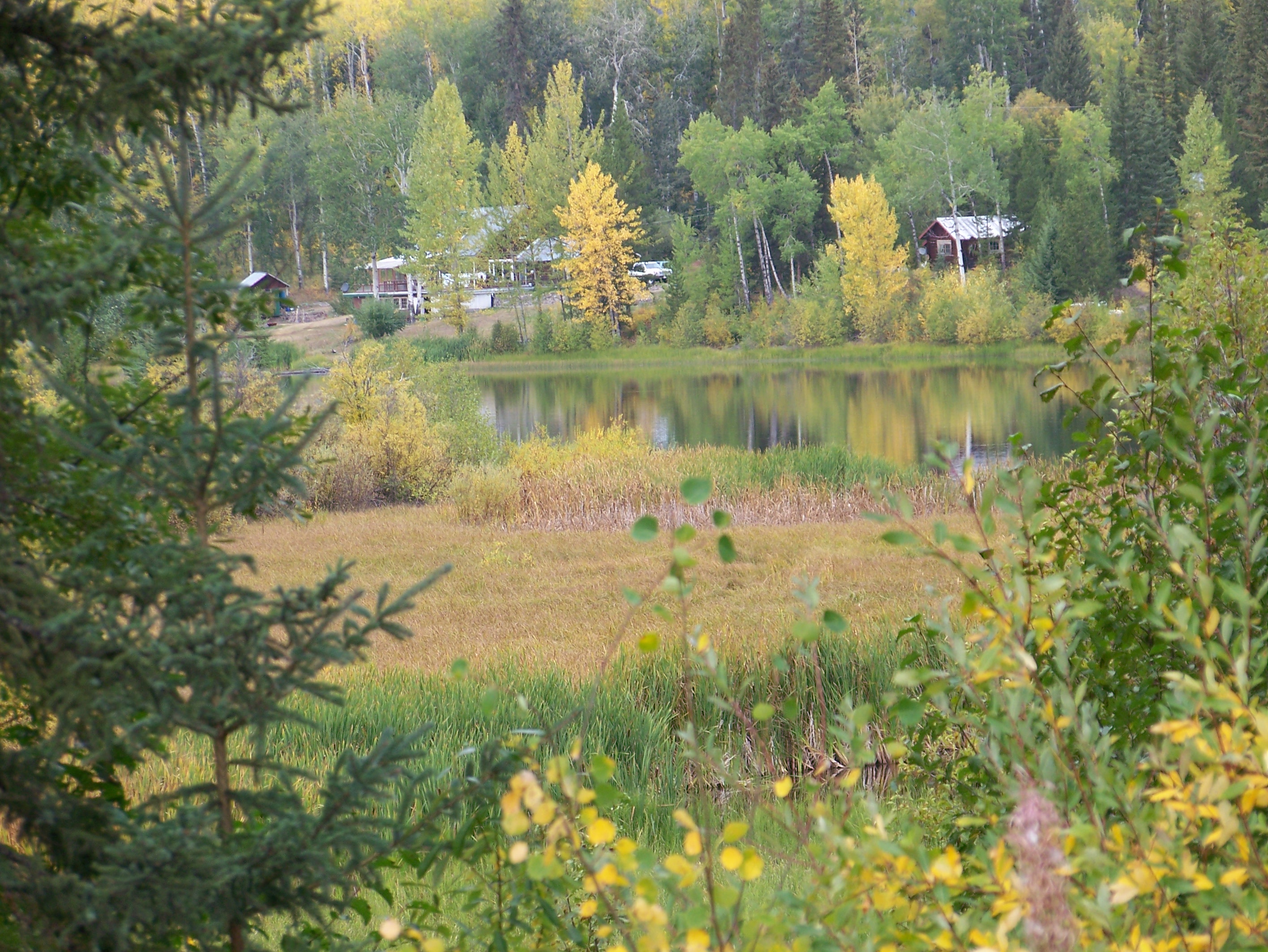 lakeview.jpg